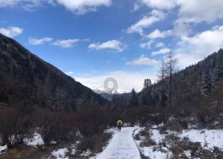 救援鹦鹉